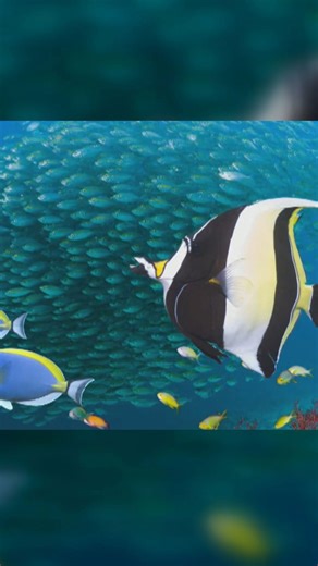 Coral reef ecosystem concerns