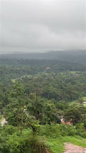 Look at the view from Coorg Heights Resort 😬 #coorg #shorts #trending