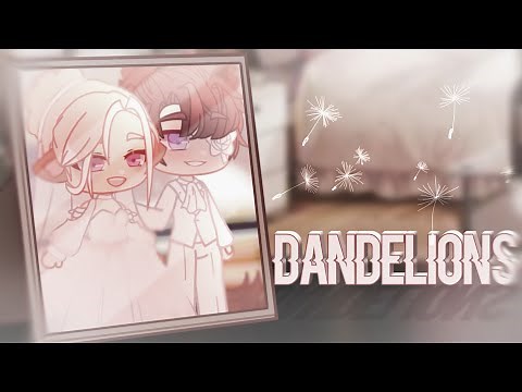 Dandelions. gacha club mv | gift