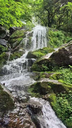 🌈#지리산을좋아해요❤️#지리산#추성#이끼#토요산속💙#초록이끼#이끼의향연