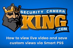 How to View Live Video via Smart PSS Software | Security Camera King
