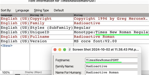 Times New Roman - Regular Does Not Exist?