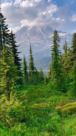 MT Rainier National park 📍WA 🇺🇸