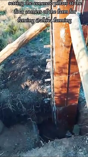 Securing Our Future, One Corner at a Time! We’re installing strong concrete pillars on all four corners of our farm—building safer, better farming for tomorrow. 0722636424 #AfricaFarming #StrongFarming #SecureYourFarm | Africa Farming