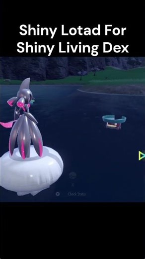 Shiny Lotad IN pokemon Violet #pokemon #shinypokemon