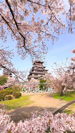 Japan Ichiban Tours on Instagram: "Fushimi Momoyama Castle 🏯✨ — a stunning symbol of samurai-era history and timeless Japanese architecture. ✨ Discover Japan’s heritage with us! 📸 Instagram: @japan_ichiban_tours 📞 WhatsApp: +81 90-3486-7744"