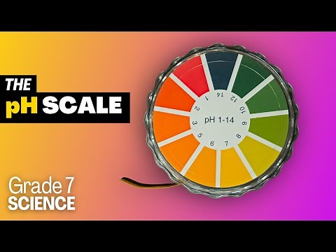 Grade 7 Science #13: pH Scale, pH meter