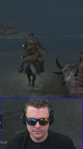 Can Horses Swim? 🏇🏻