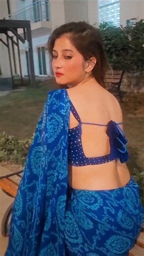 Blue Blackless Blouse with matching blue saree | Saree Slayers