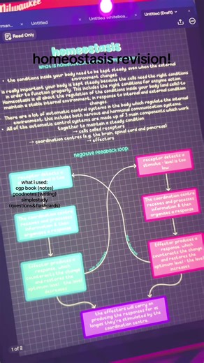 Understanding Homeostasis for A-Level Biology Success