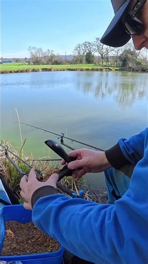 🎥🎞Mix de graines, pour l'amorçage en spomb 🤟💪