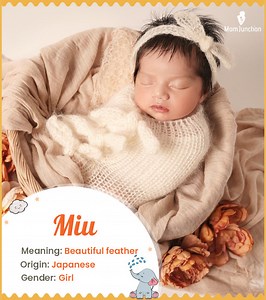 Miu Name, Meaning, Origin, History, And Popularity