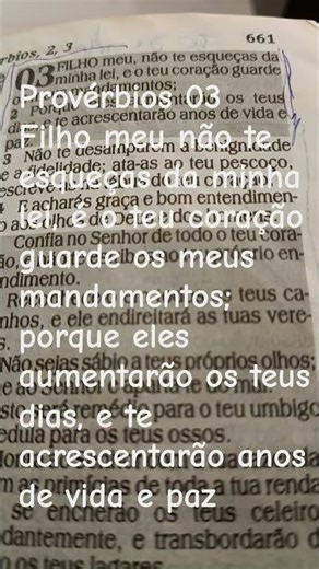 provérbios versículo bíblico palavra de Deus