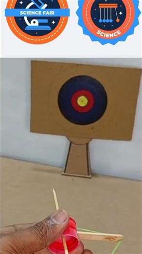 Daly science experiments with cardboard #creativeideas #scienceexperiment #dalyshort #viralshort