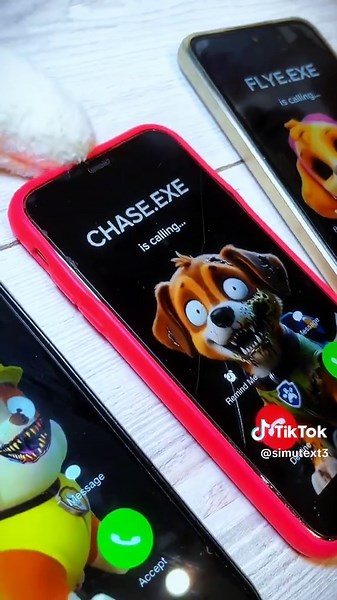 PAW PATROL exe camer for US #horror #cat #exeslide #blippi #pawpatrol