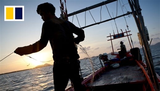 Struggling Cambodian fishermen fight for sustainability as crab numbers dwindle