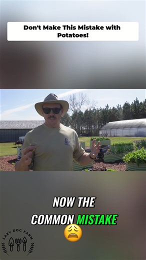 #potatoes #raisedbed #gardentips #gardenadvice | Lazy Dog Farm