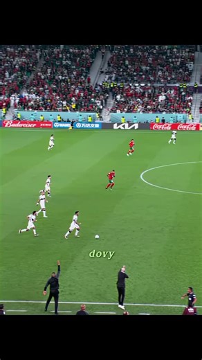 Inyot Axmedov on Instagram: "Two elephant siblings teasing each other in the wild might look playful, but it's actually a tiny glimpse into how deeply intelligent and expressive these gentle giants are becoming in front of human eyes. Their back-and-forth nudges, mock chase, and cheeky bumps follow the same idea behind natural social bonding, where every movement is a message and every reaction is a story. Just like adaptive behavior in the animal world, their little "arguments" shift tones, moo