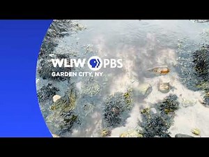 WLIW Station ID 2025 #12