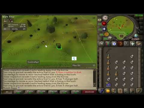 Efficient Razor Back Kebbits(Fastest hunter training method from 49-73 in 4 1/2 hours)(140k+xp)