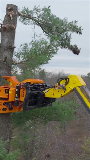 113K views · 1.1K reactions | Woodcracker® CS750 smart on the DIECI Telehandler | Westtech Woodcracker | Facebook