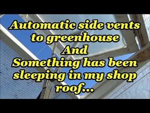 Automatic side vents for the greenhouse sort of..... 18 09 19