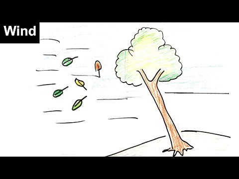 How to draw Wind ,