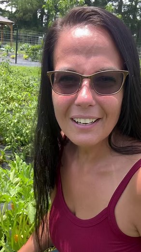 133K views · 4.2K reactions | My favorite way to preserve zucchini!...