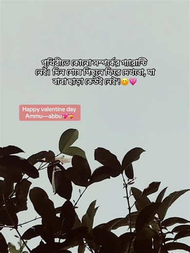 Happy Valentine’s Day Wishes for Parents