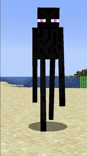 If Minecraft was logical 😭😭