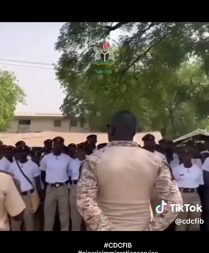 cdcfib on TikTok