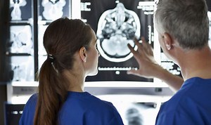 The ultimate brain map