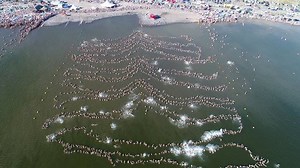 25K views · 169 reactions | ► VIDEO: 1,941 bathers in Argentina have...