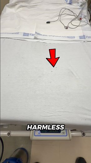 If You See Tiny Bugs Near Your Bed… Don’t Ignore This