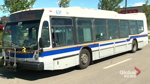 1.4K views · 11 reactions | The City of Regina announced an east-end bus route expansion and fairs waived for kids 13 & under. https://trib.al/An8ydRQ | Global Regina | Facebook