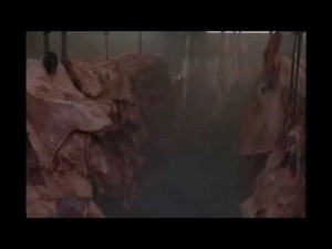 GoodFellas Layla Music Up