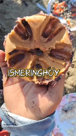 ismeringhoy | grabe ka dako sa tv sa cebu