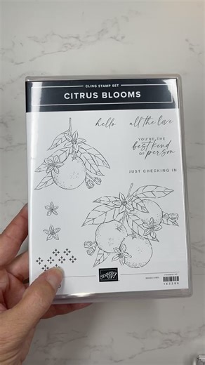 5.1K views · 213 reactions | The Citrus Blooms stamp set, dies, and...
