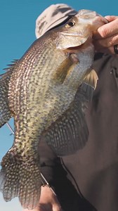 Next-Level Crappie Jig Head Design✅ | 6th Sense Fishing
