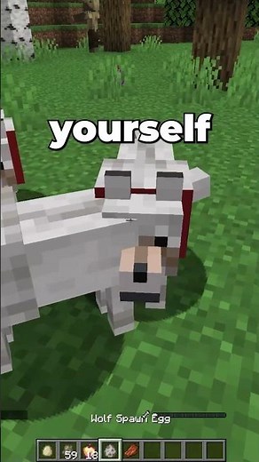The Wolf Origin Explained #minecraft #minecraftorigins