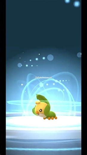 Sewaddle’s Evolution