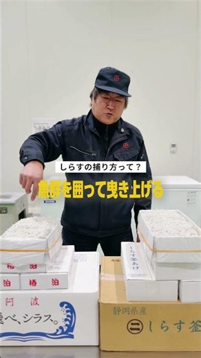 しらす一筋30年以上！長年しらすと向き合ってきたしらす愛あふれるベテラン社員に「しらすの魅力」を聞いてみました✨