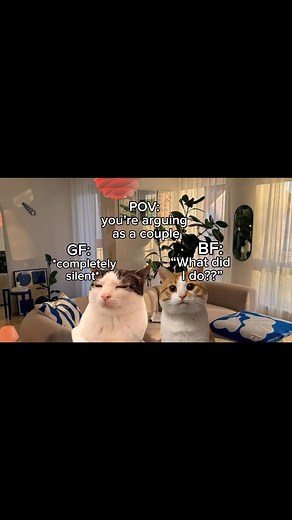 What is wrong with him fr 😭😭😭 #me #bf #gf #cat #cats #relationship #relatable | Relatable Cute Cats