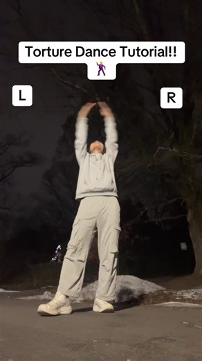 Hope this helps!!! 😓🙏 #jojosbizarreadventure #jojo #torturedancejojo #fyp #torturedance