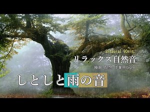 Gentle Rain Sounds for 90 Minutes – Relaxing Nature Ambience for Sleep & Meditation