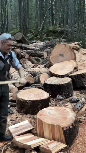 Strong man splitting large tree trunks using sharp wooden axe with full power to cut wood