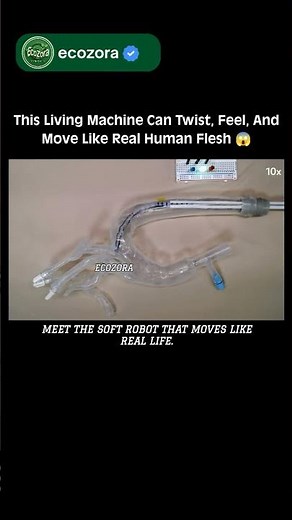 Meet The Soft Robot That Crawls Inside Arteries 🤯 #science #robotics #innovation #future