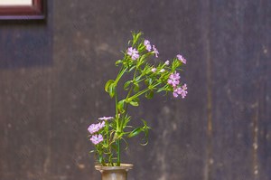 新消息或接口成功提示音声音音效素材-千库网