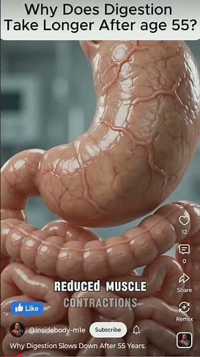 Pachan Tantra 3D Animation || Digestive System #shorts