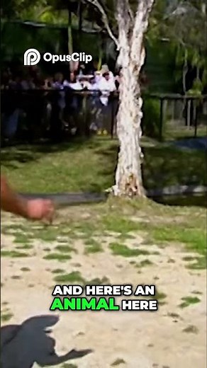 Australia Zoo's Crocodile Park. Meet Monty!